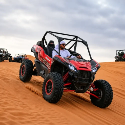 Desert Safari with 1 Seater Buggy